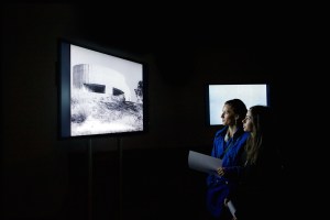 Parasite on display at Heidelberg Castle, Germany