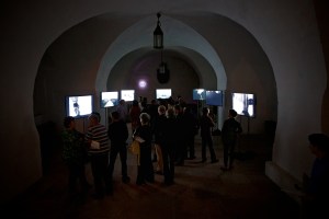 Parasite on display at Heidelberg Castle, Germany