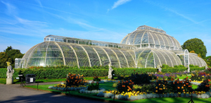 Botanic gardens - such as Darwin Tree of Life Project partner Kew Gardens - contain approx 1/3rd of all plant life on earth