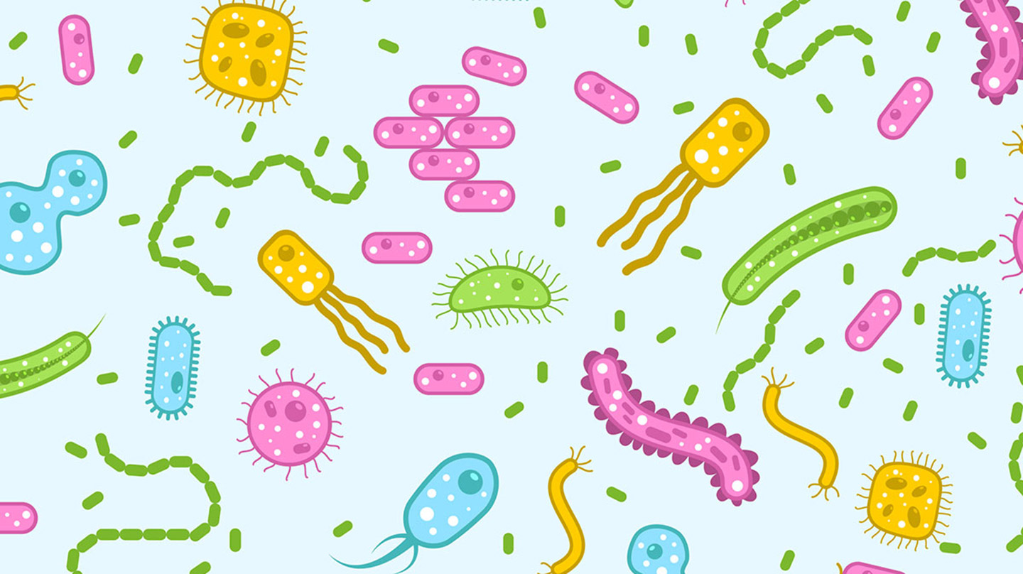bacteria 1440 808