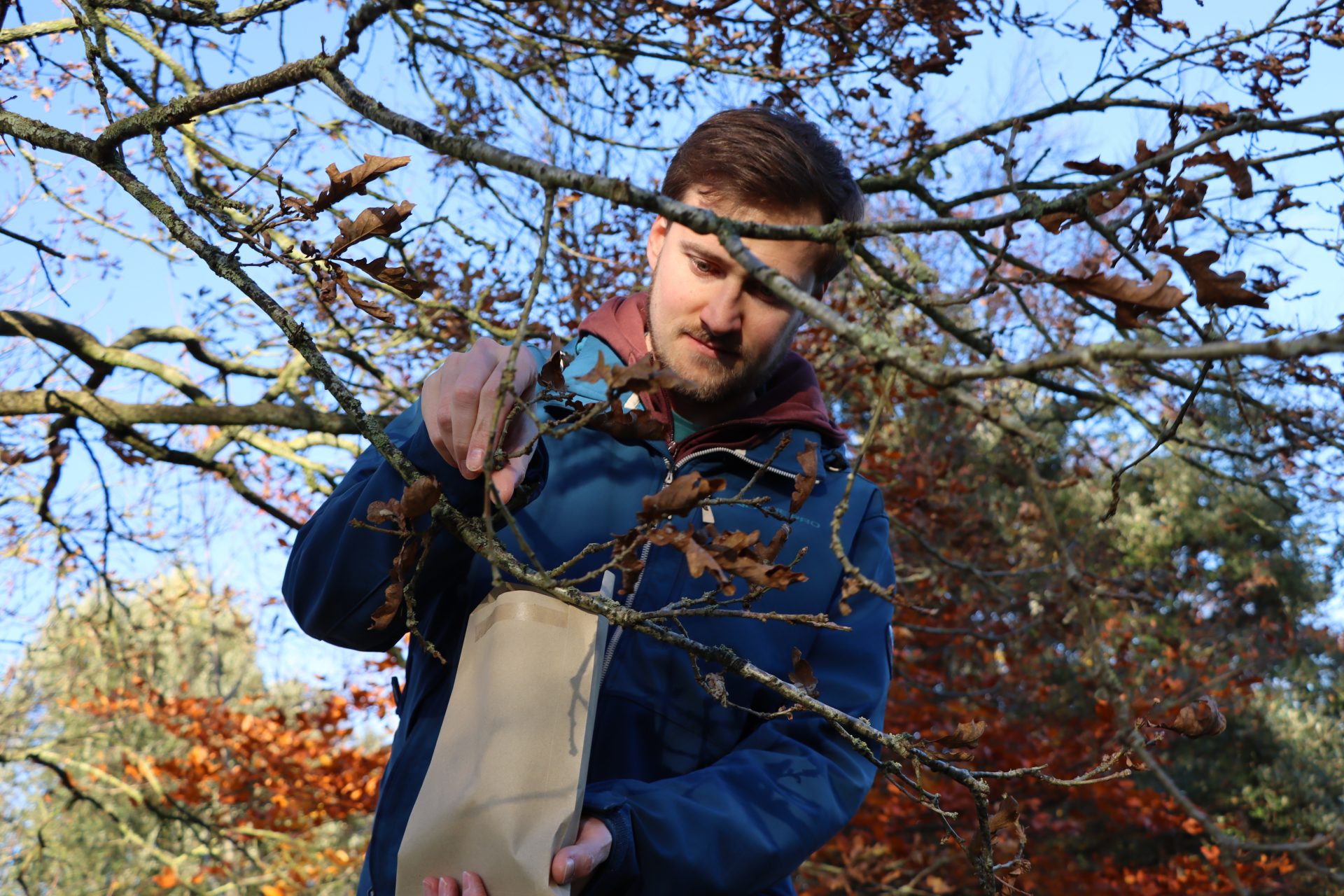 IMG_2572 Witek collecting tardigrades from trees