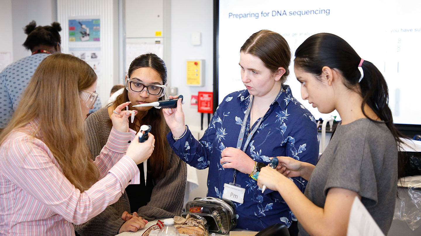 Intergenerational insect investigators - Wellcome Sanger Institute Blog