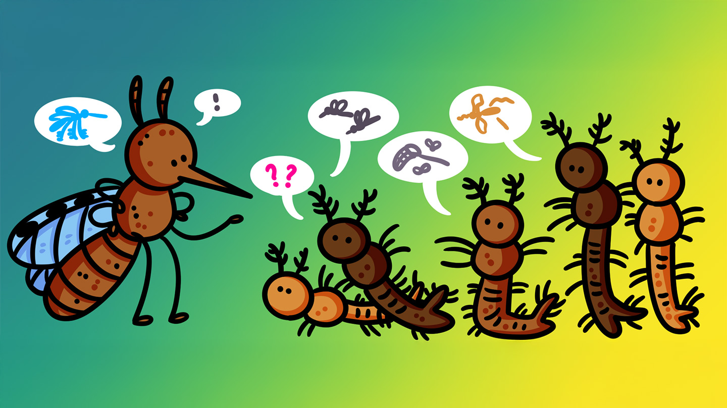 How many mosquitoes are there in the world? And other buzzing questions ...