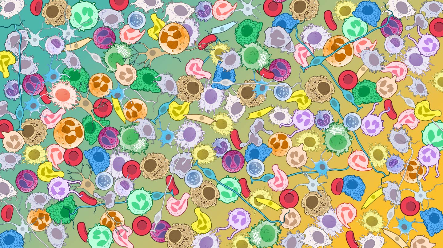 What is spatial transcriptomics? - Wellcome Sanger Institute Blog