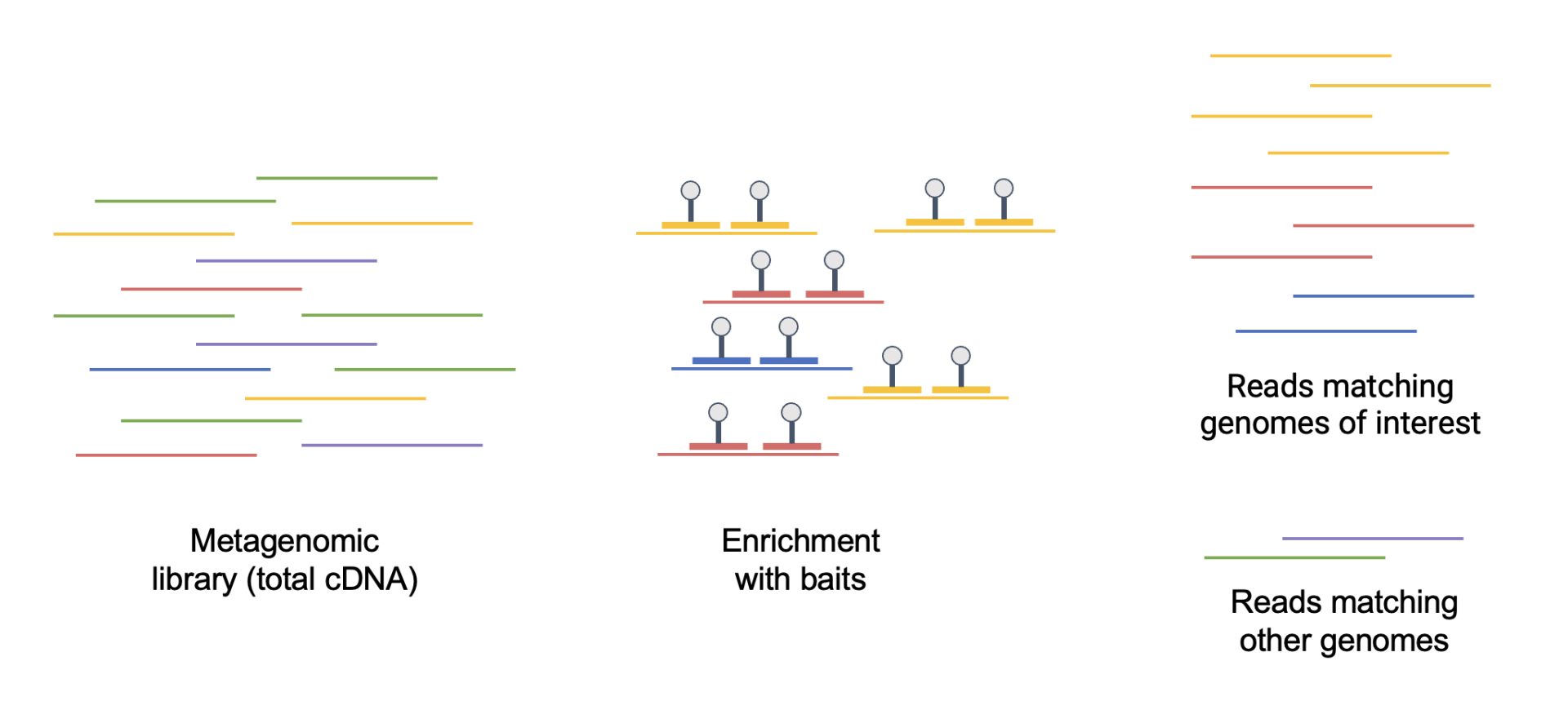 bait-capture DNA bait capture