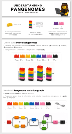 pangenomes_lego (2)